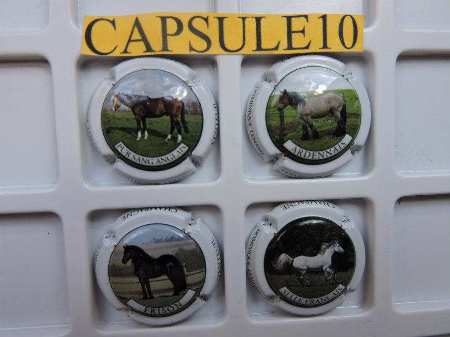 Capsule de Champagne LEMAIRE Dominique
